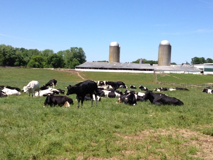 Tanner Brothers Dairy Farm, 1070 Hatboro Rd, Richboro, PA, Ice Cream ...