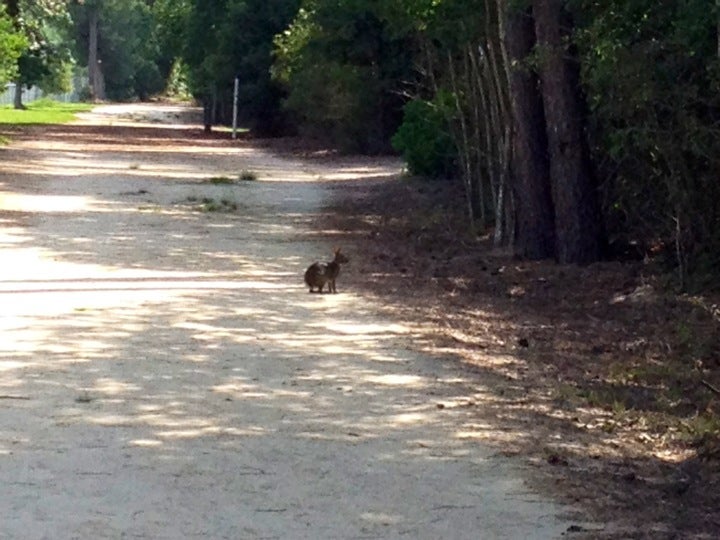 Pinehurst, TX Map & Directions MapQuest