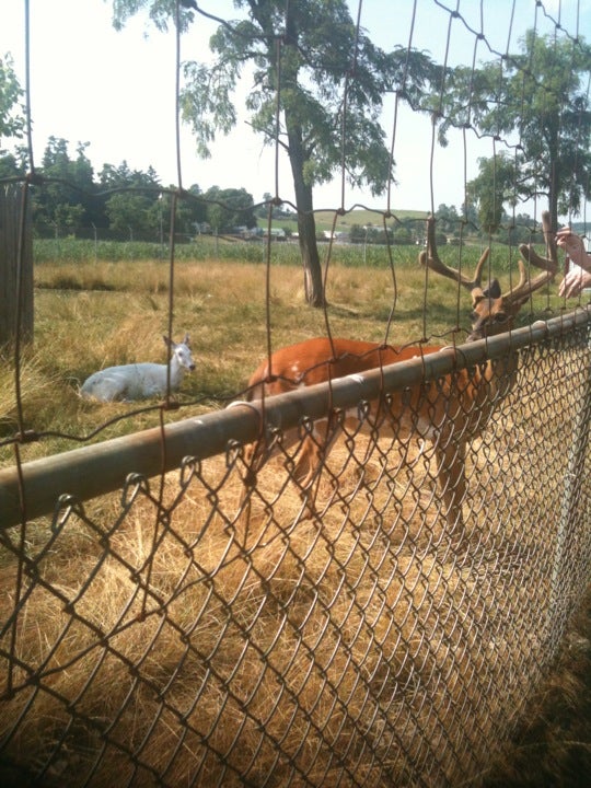 Mont Alto, PA Map & Directions MapQuest