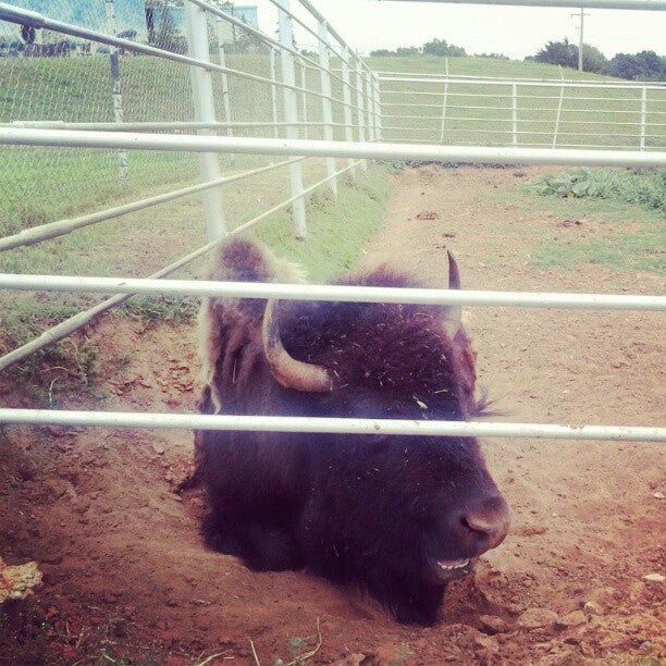 Hinton, OK Map & Directions MapQuest