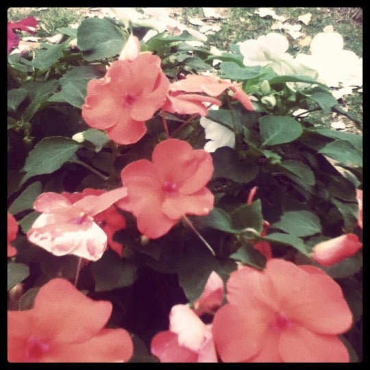 Decorah, IA Map & Directions MapQuest