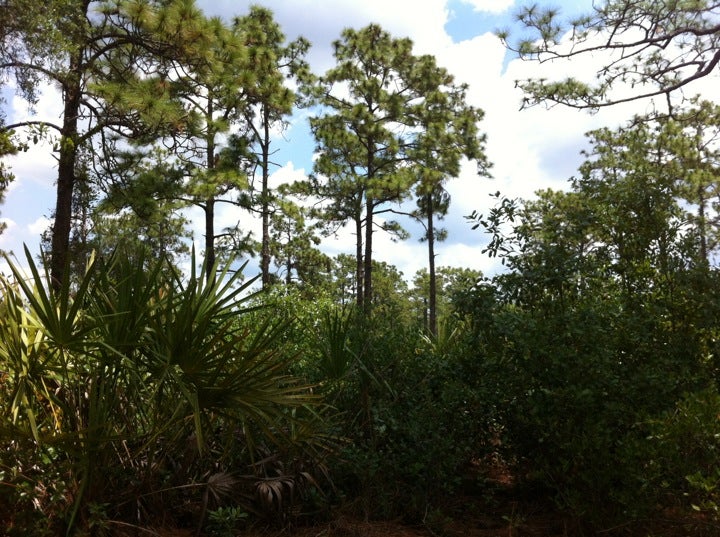 Alafaya, FL Map & Directions MapQuest