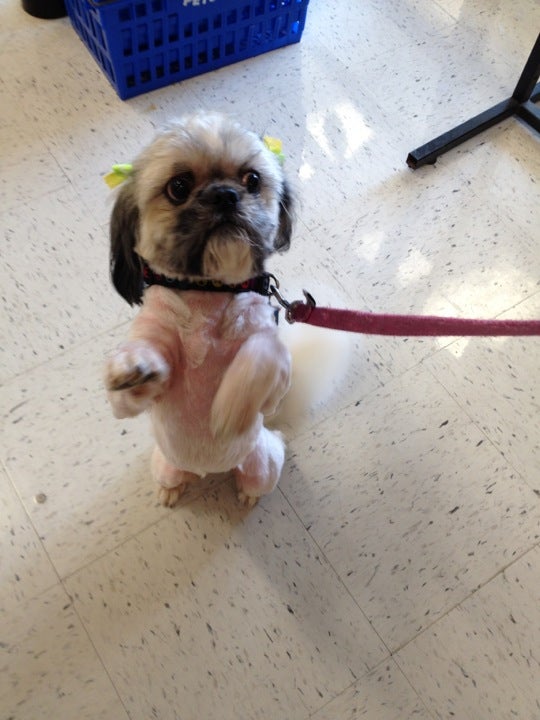 PetSmart, 2601 S I35, Suite E, Round Rock, TX MapQuest