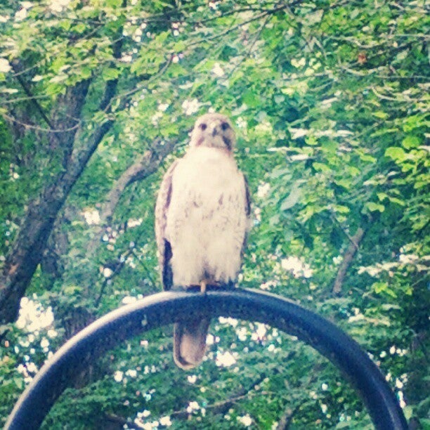 Philips Healthcare, 3000 Minuteman Rd, Andover, MA, Office & Desk Space