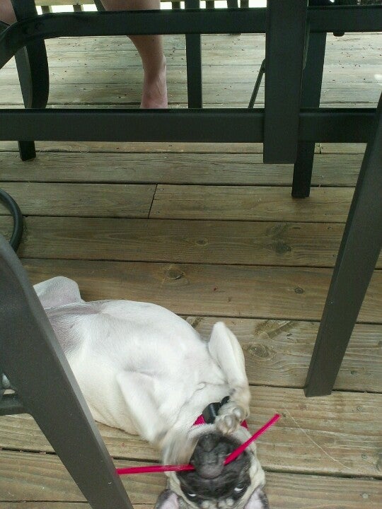 Schuylerville, NY Map & Directions MapQuest