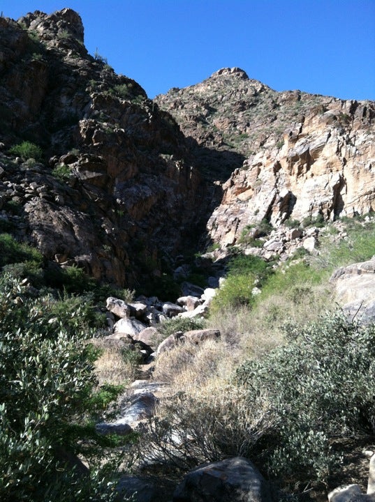 White Tank Mountain Regional Park, 20304 W White Tank Mountain Rd ...