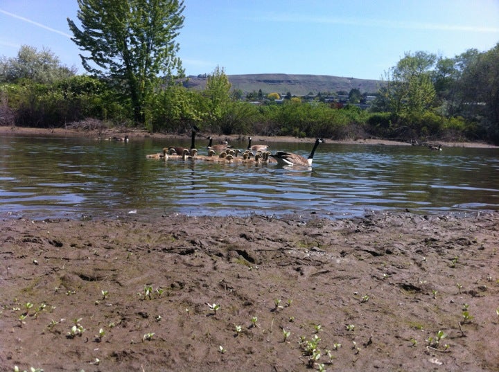 Swallows Park Lower Granite Lake, 780 20th Ave, Clarkston, WA 99403, US