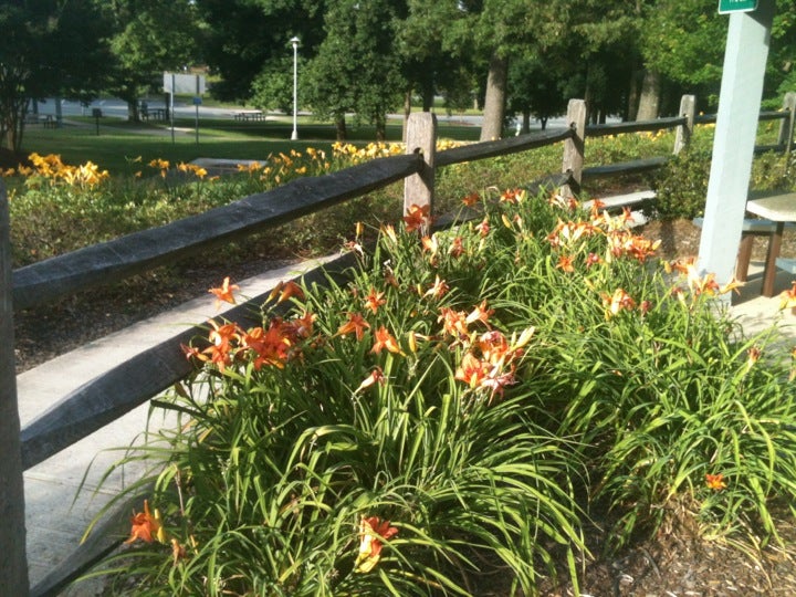 Alamance County Rest Area, NE I 4085 Rest Stop Inner Loop, Burlington