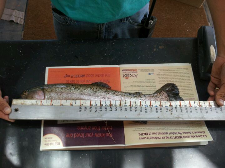 Shady Lakes Trout & Bass Fishing, 11033 4th St NW, Albuquerque, NM