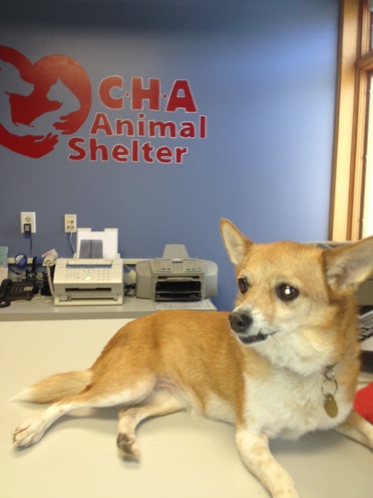 CHA Animal Shelter 3765 Corporate Dr Columbus OH MapQuest