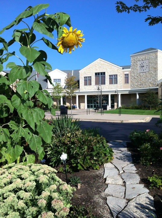 Home  Ela Area Public Library