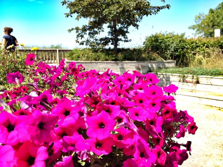 Arcadia Beach, Lake St, Arcadia Twp, MI, Beach MapQuest