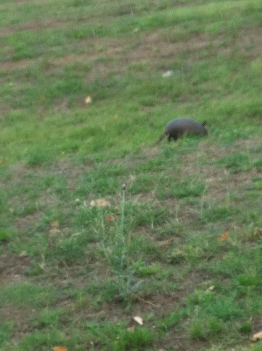 Texas A&MRiverside Campus, 3100 State Highway 47, Bryan, TX MapQuest