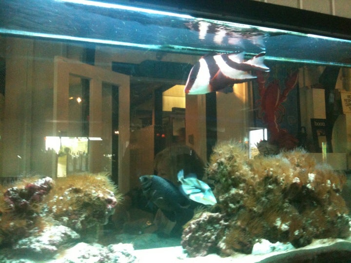 The Station House Restaurant Lantana, 233 Lantana Rd, Lantana, FL