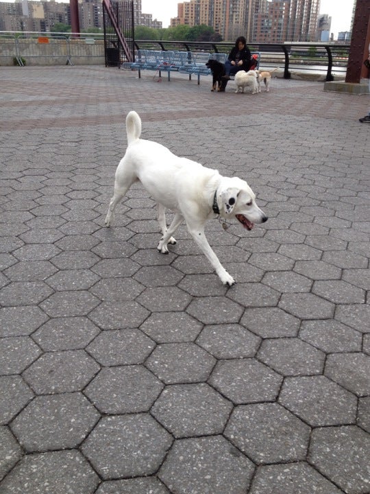 63rd St Dog Park, FDR Dr, New York, NY, Parks MapQuest