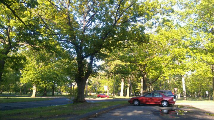 Warinanco Park Track, Roselle, NJ - MapQuest