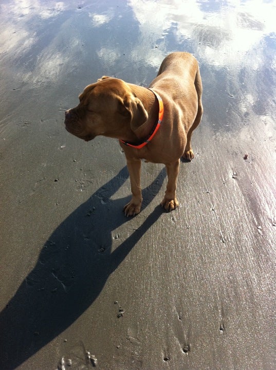 Cable Beach, Rye, NH, Beach MapQuest
