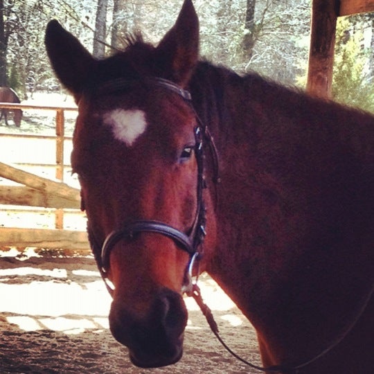 Coweta County Fairgrounds, 275 Pine Rd, Newnan, GA, Government MapQuest