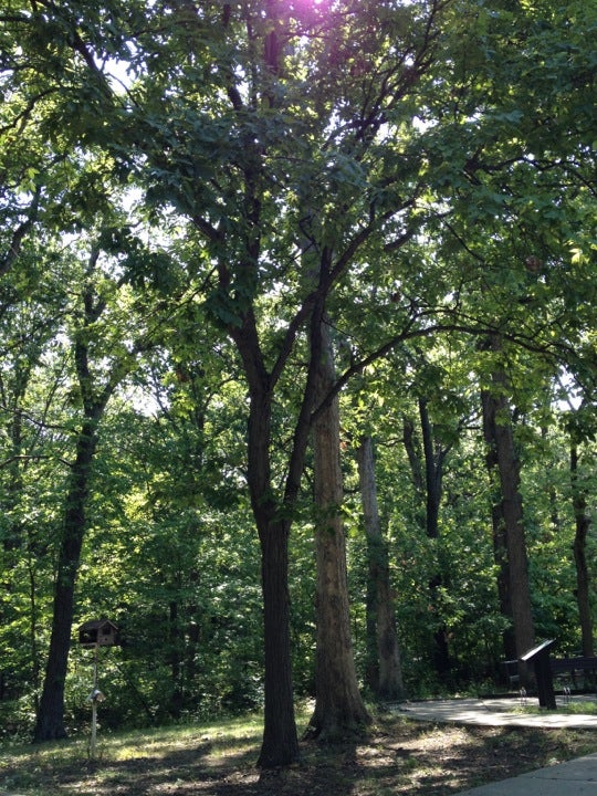 Mount Zion, IL Map & Directions MapQuest