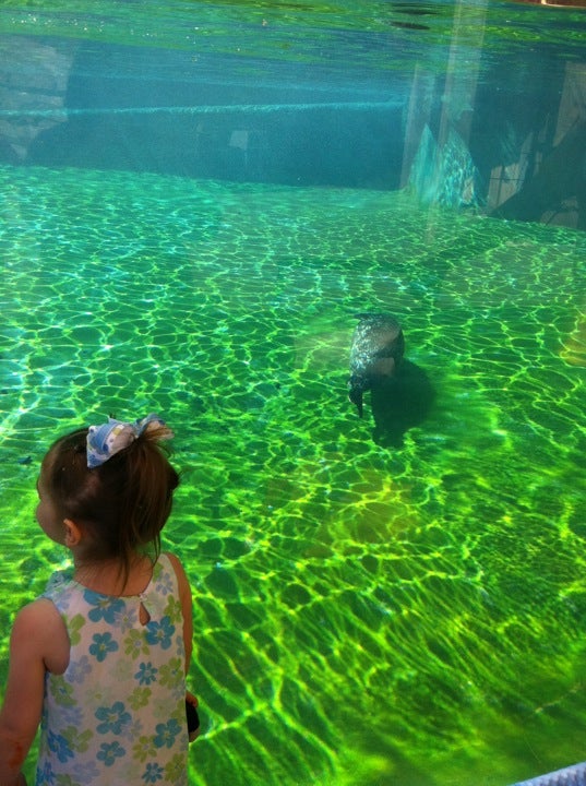 Louisville Zoo, 1100 Trevilian Way, Louisville, Kentucky, Zoos MapQuest