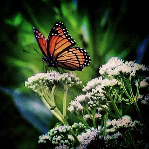 Victoria, MN Map & Directions MapQuest