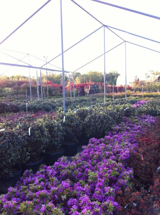 Lurvey Garden Center Landscape Supply Des Plaines Il 60016 | Fasci Garden