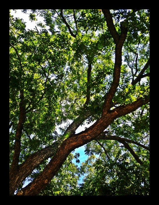 Bear Creek Park - Fish Playground, Keller Smithfield Rd S, Keller, TX ...