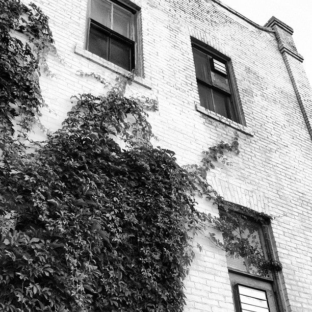 Best Candy Store in Hoople, North Dakota MapQuest