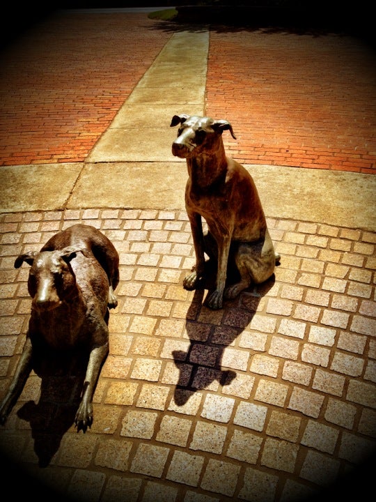 Buckhead, GA Map & Directions MapQuest