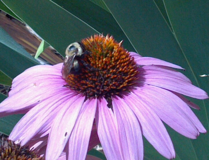 Kearney, MO Map & Directions MapQuest