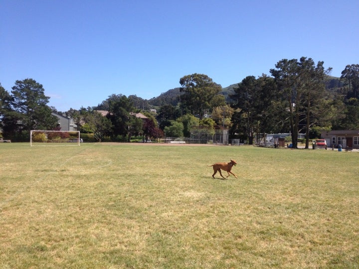 MLK soccer field, Coloma street, Sausalito, CA MapQuest