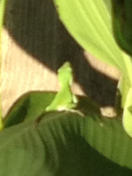 Meadowbend Park, League City, TX MapQuest