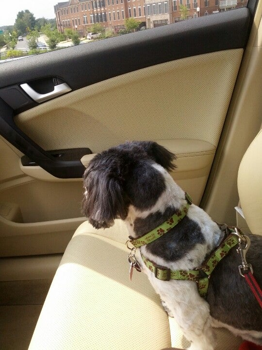 Best Friends Pet Care, 395 Muddy Branch Rd, Gaithersburg, MD, Veterinarians MapQuest