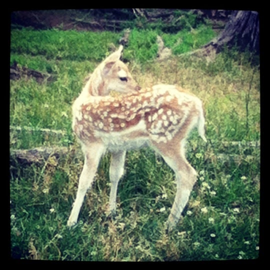 Millersburg, PA Map & Directions MapQuest