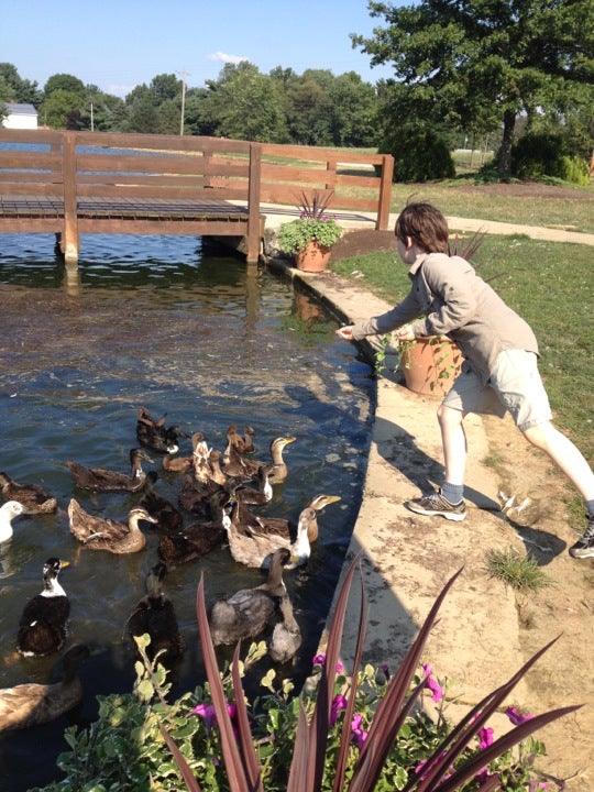 Smithville, OH Map & Directions MapQuest