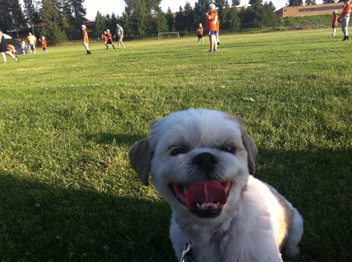 Mead Sports Complex, 12509 N Market St, Mead, WA MapQuest