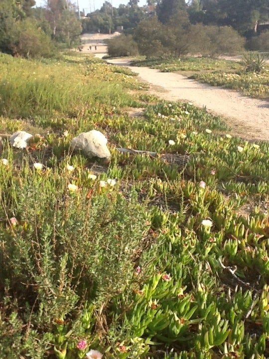 Power Lines Dog Park, Village Run W, Encinitas, CA, Outdoor Sports