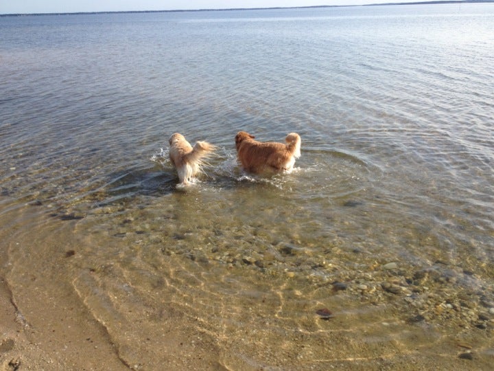 East Landing Beach, Hampton Bays, NY, Beach MapQuest