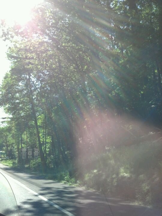 Michaux State Forest, 10099 Lincoln Way E, Greene Twp, PA MapQuest