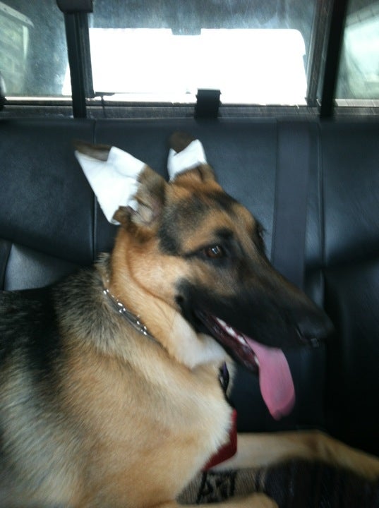 Underhill Animal Hospital, 4900 Lake Underhill Rd, Orlando, FL, Veterinarians - MapQuest Underhill Animal Hospital, 4900 Lake Underhill Rd, Orlando, FL, Veterinarians - MapQuest