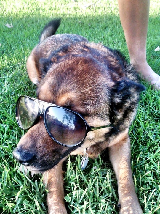 Seal Beach, CA Map & Directions MapQuest