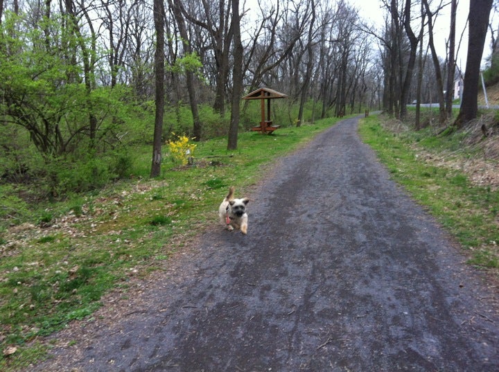 Ironton Rail Trail Portland St Access, Quarry St, Coplay, PA, Trail