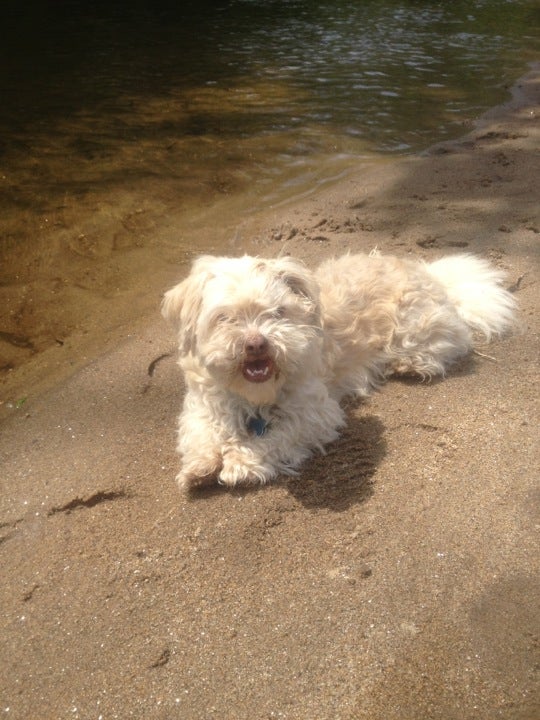 Granby, CT Map & Directions MapQuest