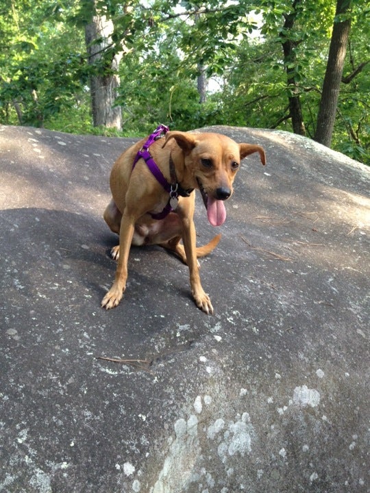 Carlton, GA Map & Directions MapQuest