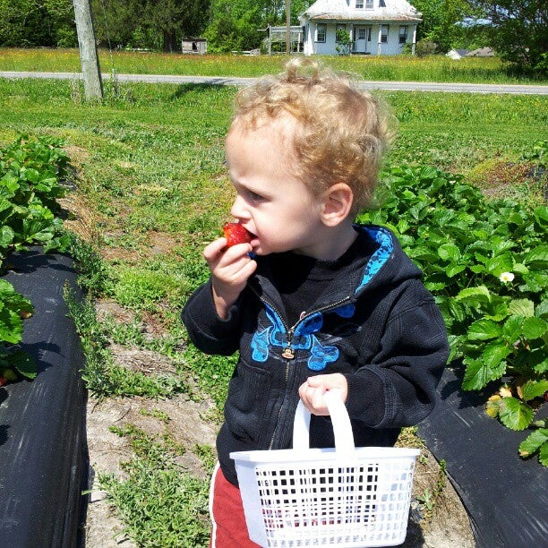 Vaughan Farms' Produce, 1258 Princess Anne Rd, Virginia Beach, VA