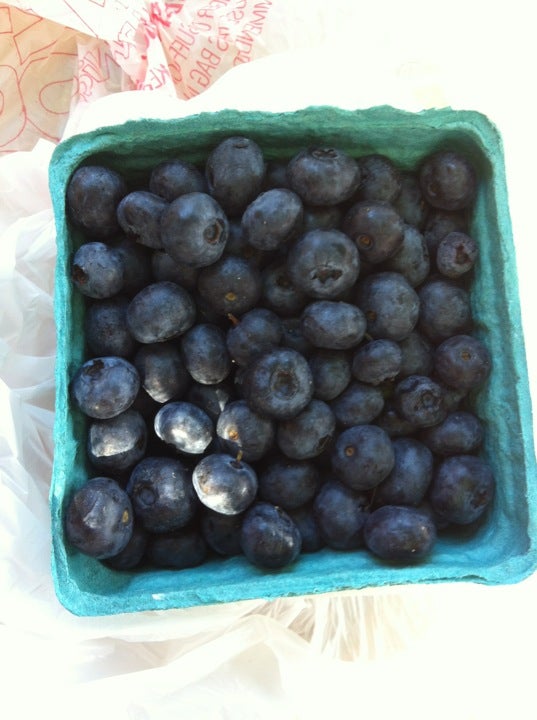 Peg Noonan Park, Main St, Falmouth, MA, Parks MapQuest