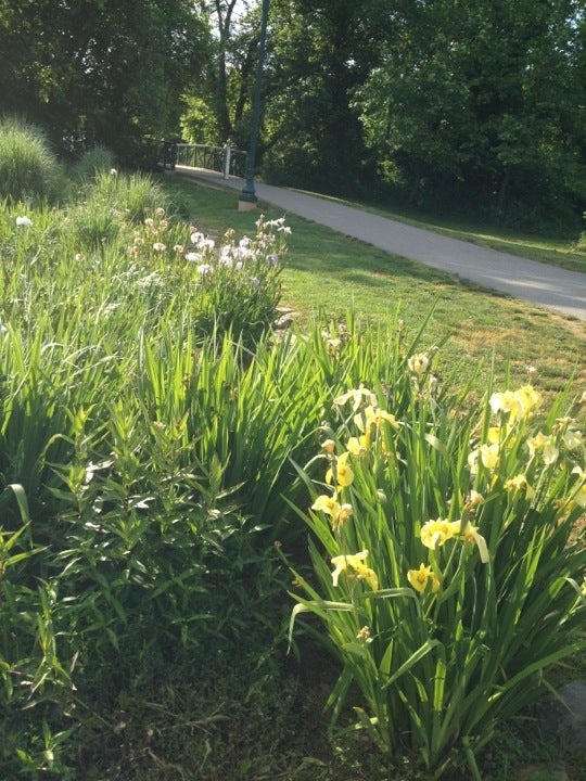 Meadowood Regional Park, 10650 Falls Rd, Lutherville Timonium, MD