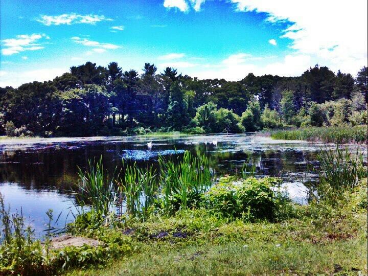 Myopia Hunt Club, 435 Bay Rd, Hamilton, Town of, MA, Golf CoursesPublic MapQuest