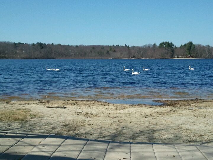 Lake Winthrop, Holliston, MA MapQuest
