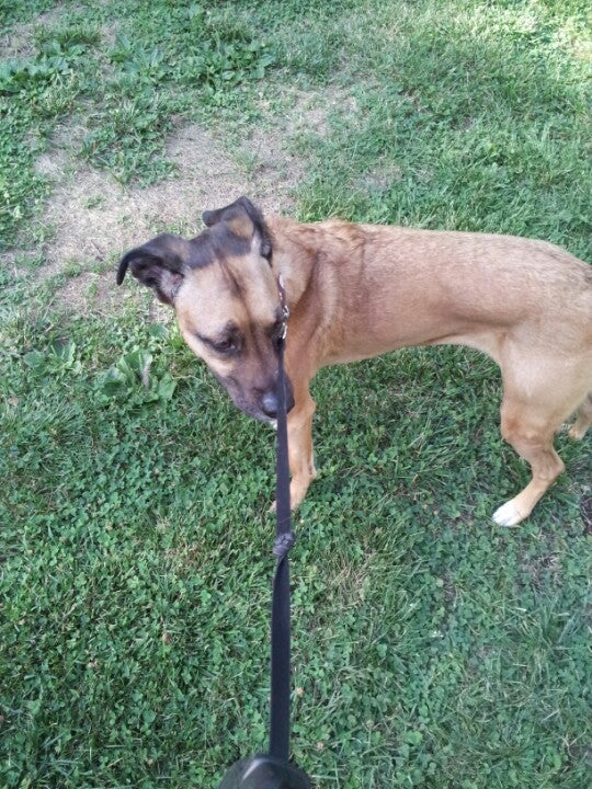 Crestwood, MO Map & Directions MapQuest